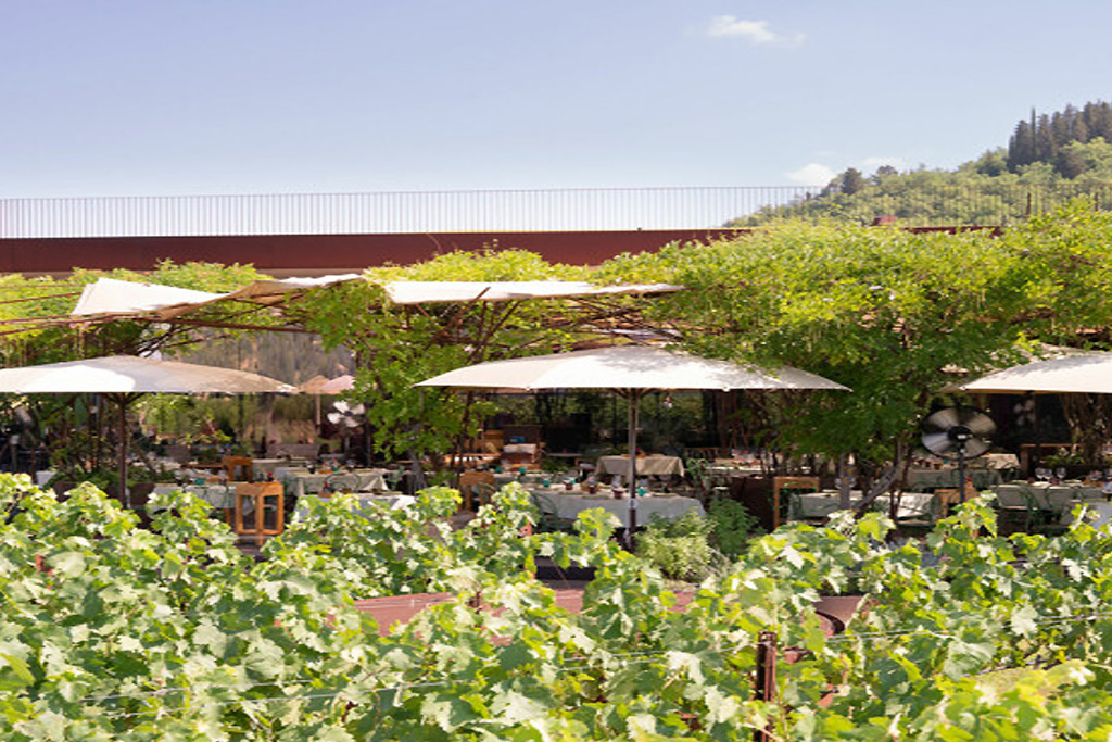 Antinori nel Chianti Classico restaurant