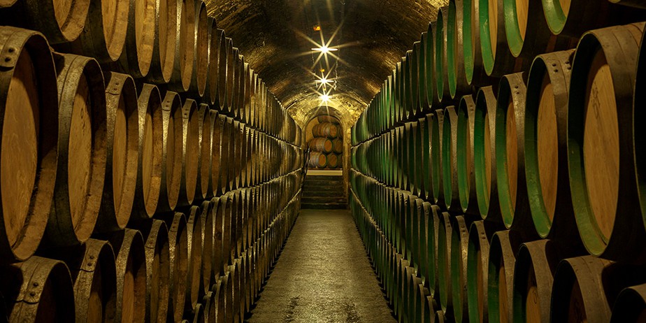 Bodegas Marques de Riscal barrels