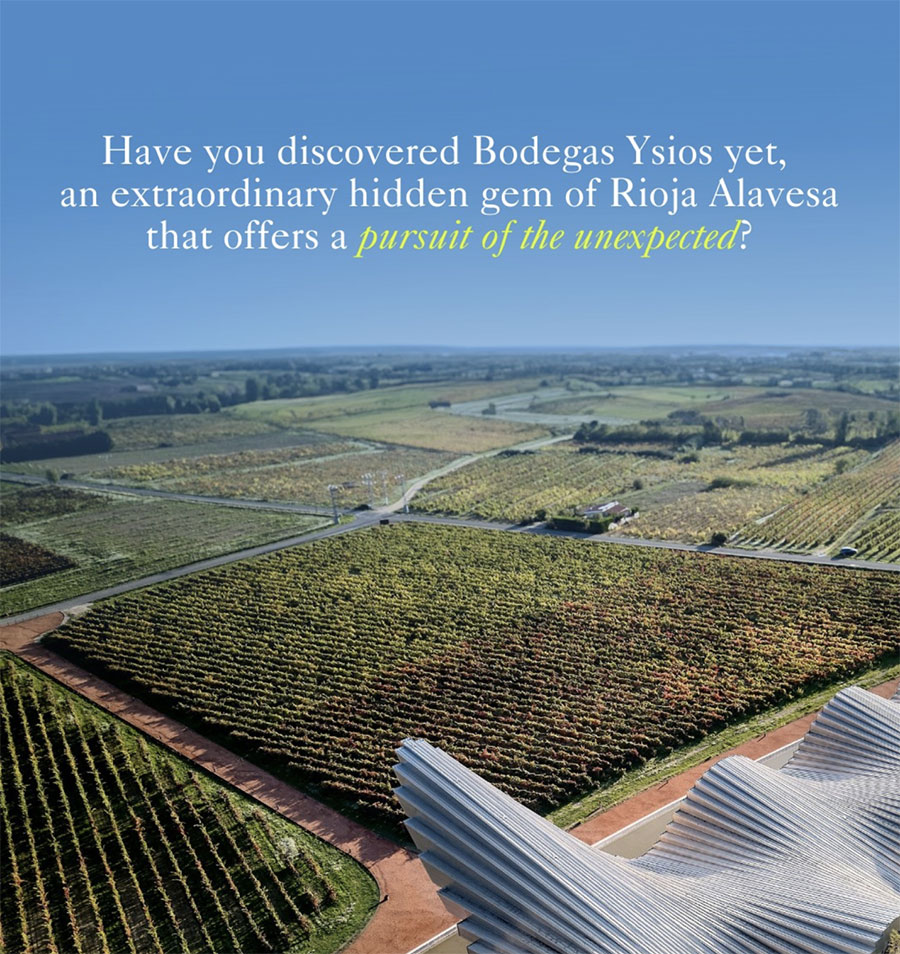 Bodegas Ysios vineyard view