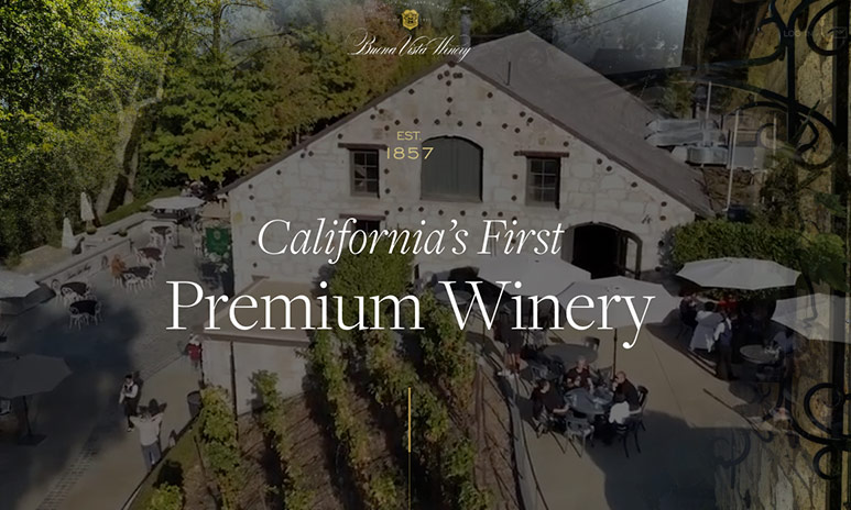 Buena Vista Winery view