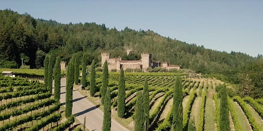 Castello di Amorosa Far View