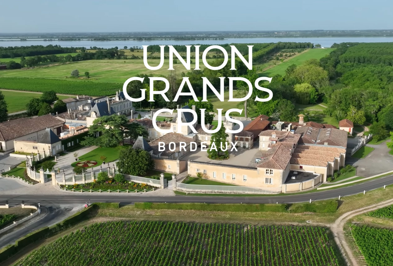 Weekend des Grands Crus vineyard